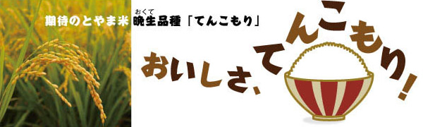 期待のとやま米 晩生品種「てんこもり」 おいしさ、てんこもり！